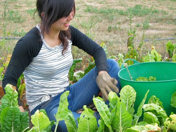 Things to Do in Nepal 