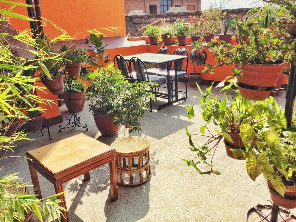 Wildlife Photography in Nepal 