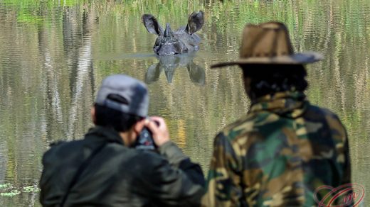 Wildlife Photography in Nepal