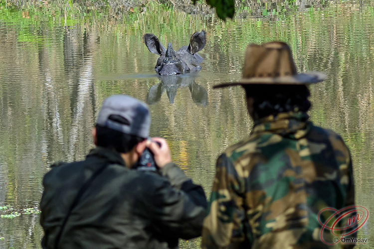 Wildlife Photography in Nepal 