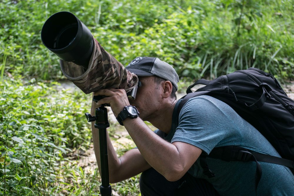 Wildlife Photography in Nepal 